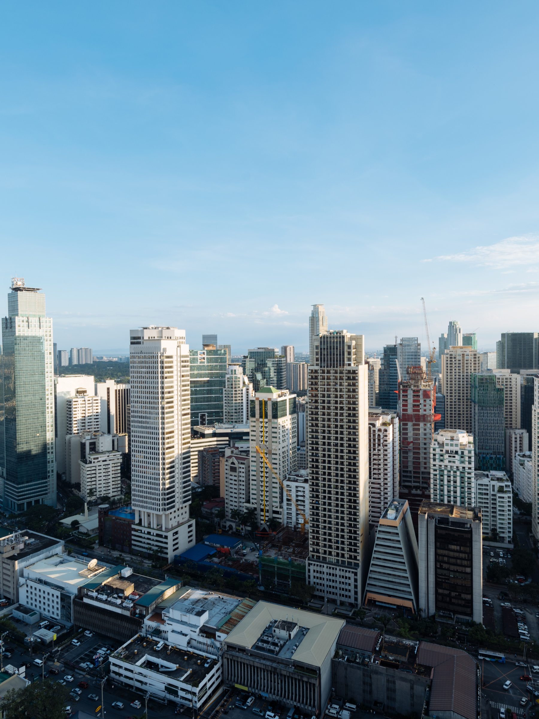 Metro Manila Properties
